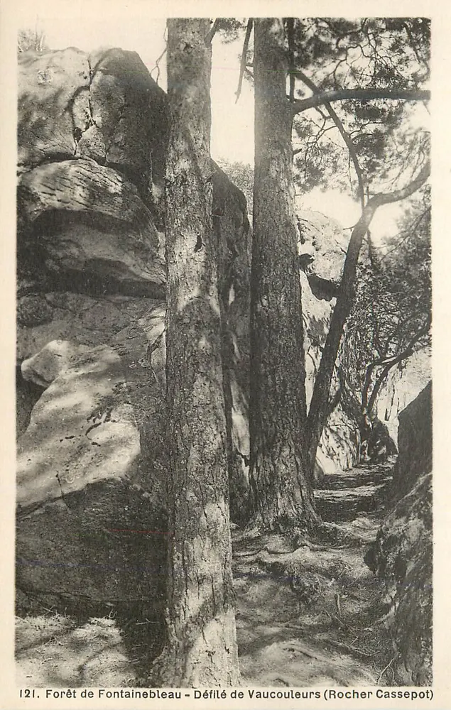 Forêt de Fontainebleau — Défilé de Vaucouleurs (Rocher Cassepot) — n° 121 - Vorderseite